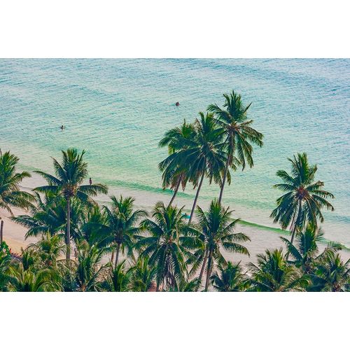 Haseltine, Tom 아티스트의 Asia-Thailand-Palm trees on Koh Chang-South of Bangkok-in Gulf of Thailand작품입니다.
